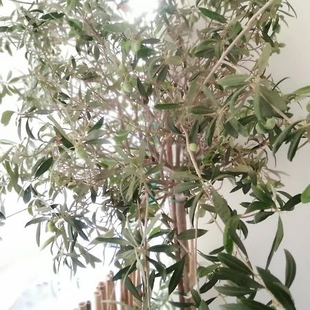 Athens City Center Cozy Apartment Bagian luar foto