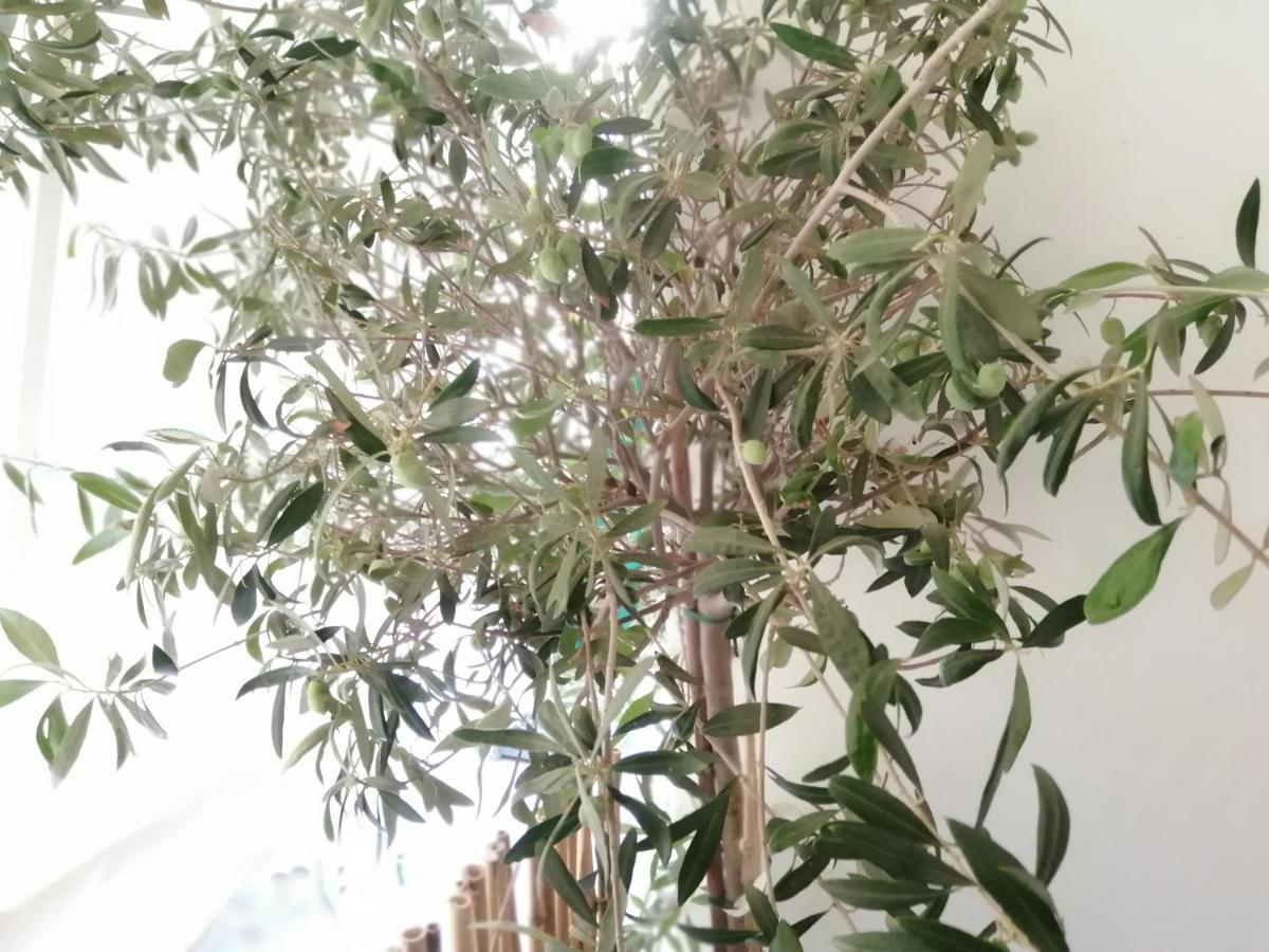 Athens City Center Cozy Apartment Bagian luar foto